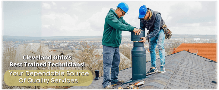 Chimney and Fireplace Solutions